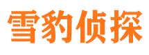 峄城侦探公司